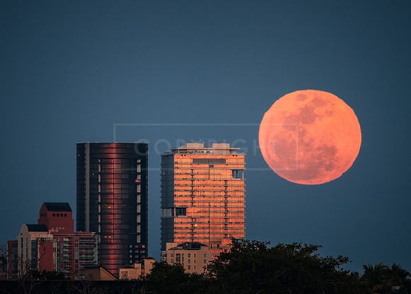 PINKM-1