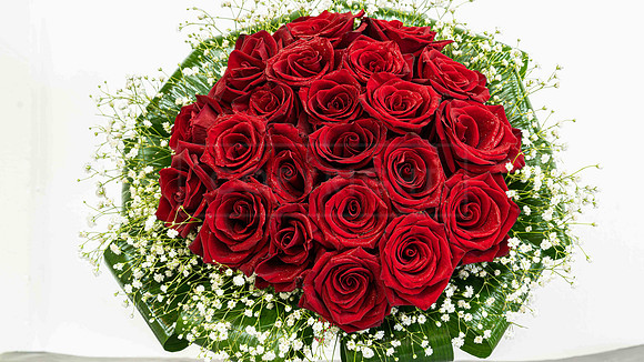 Red roses with baby breath (1)