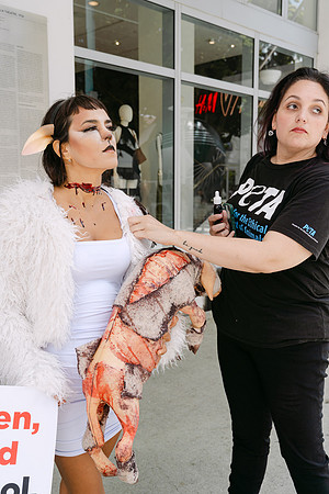 Peta-26
