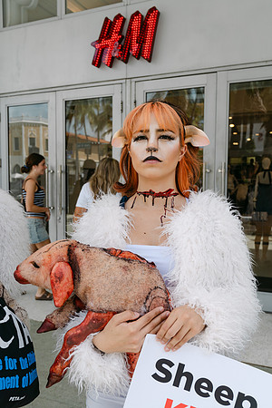 Peta-37