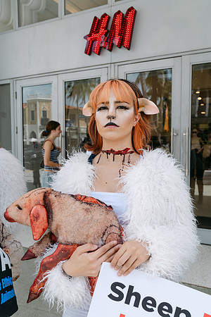 Peta-38