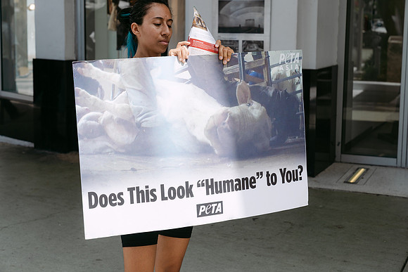 Peta-60