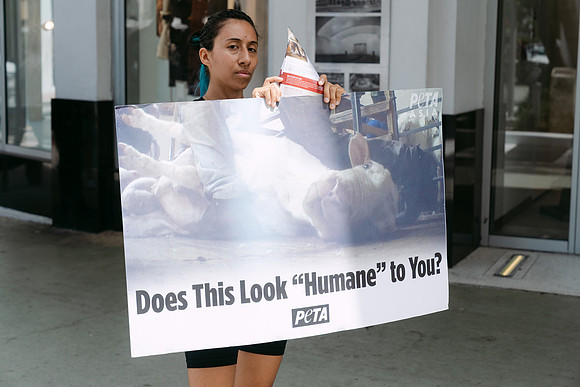 Peta-61