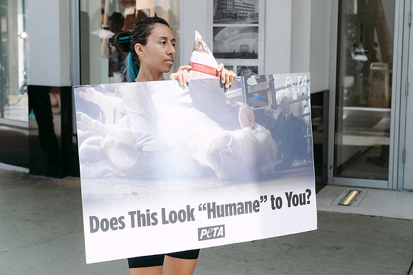 Peta-62