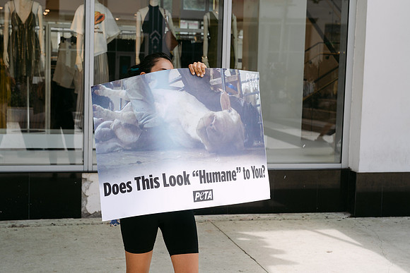 Peta-95