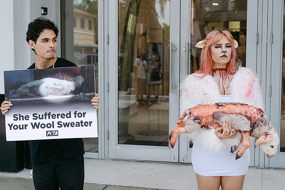 Peta-101
