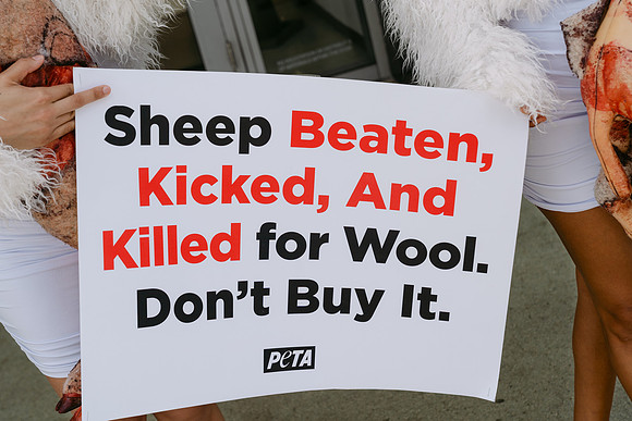 Peta-23