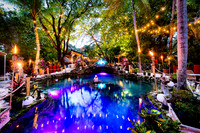 EOS Garden