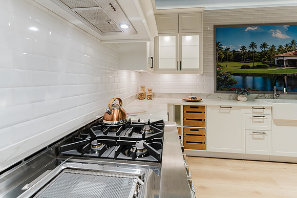 MV-19