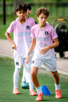 GOTFC-8