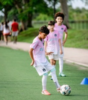 GOTFC-11