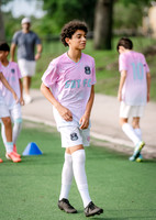 GOTFC-6