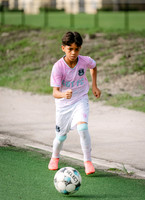 GOTFC-3