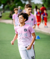 GOTFC-5
