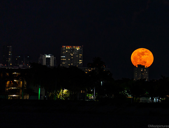 bloody_supermoon-5