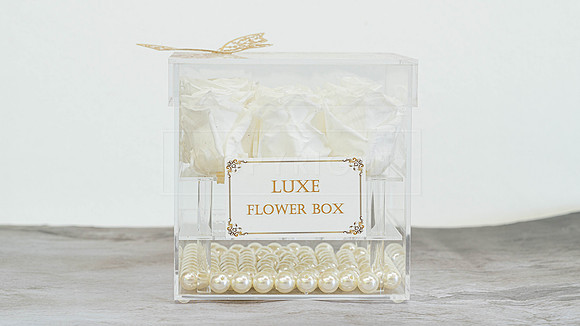 Small acrylic box-customize (Alpine Snow) (1)
