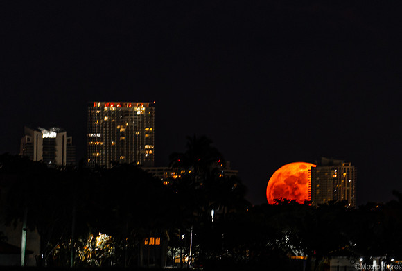 bloody_supermoon-1