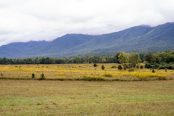 Cades Cove