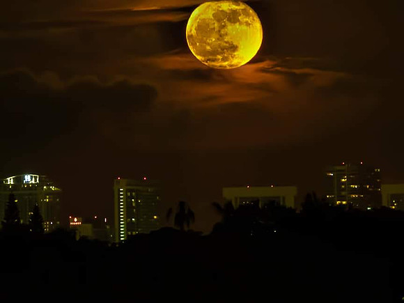 Moon
