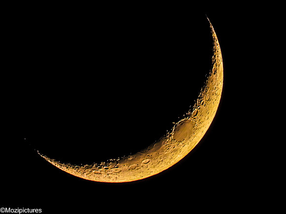 Moon_1 (1 of 1)